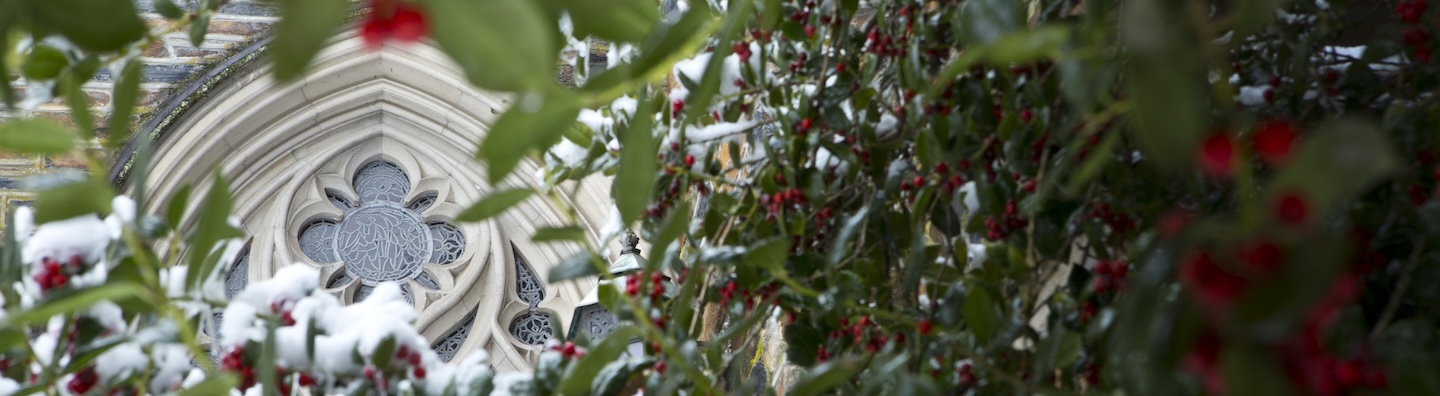 Duke window seen through bushes dusted with snow